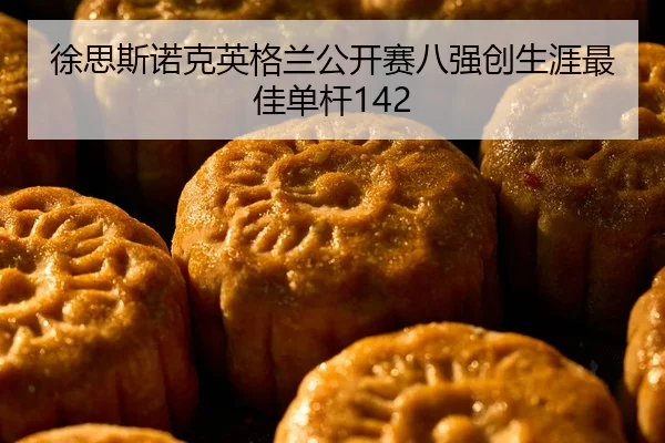 xu-si-si-nuo-ke-ying-ge-lan-gong-kai-sai-ba-qiang-chuang-sheng-ya-zui-jia-dan-gan-2-899.jpg