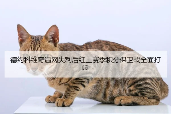 德约科维奇温网失利后红土赛季积分保卫战全面打响