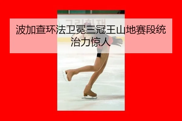 bo-jia-cha-huan-fa-wei-mian-san-guan-wang-shan-di-sai-duan-tong-zhi-li-jing-ren-2-258.jpg